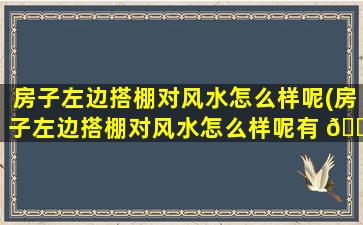 房子左边搭棚对风水怎么样呢(房子左边搭棚对风水怎么样呢有 🌿 影 🕸 响吗)